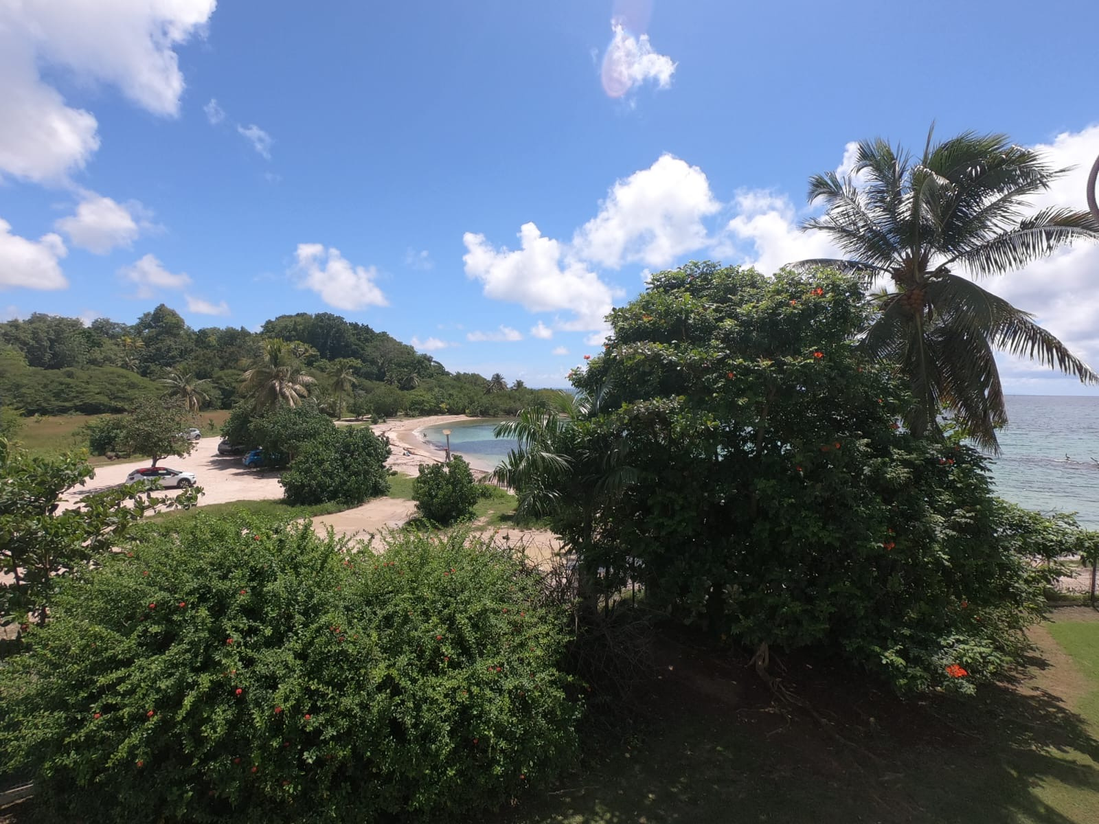 Agence immobilière de Agence Immo Conseil