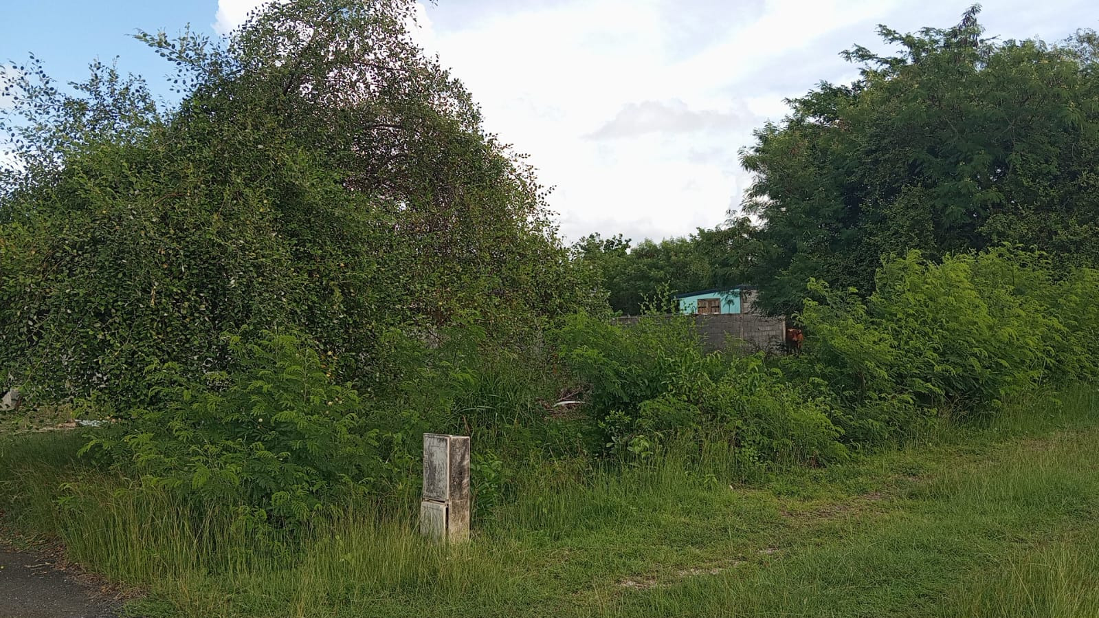 Agence immobilière de Agence Immo Conseil